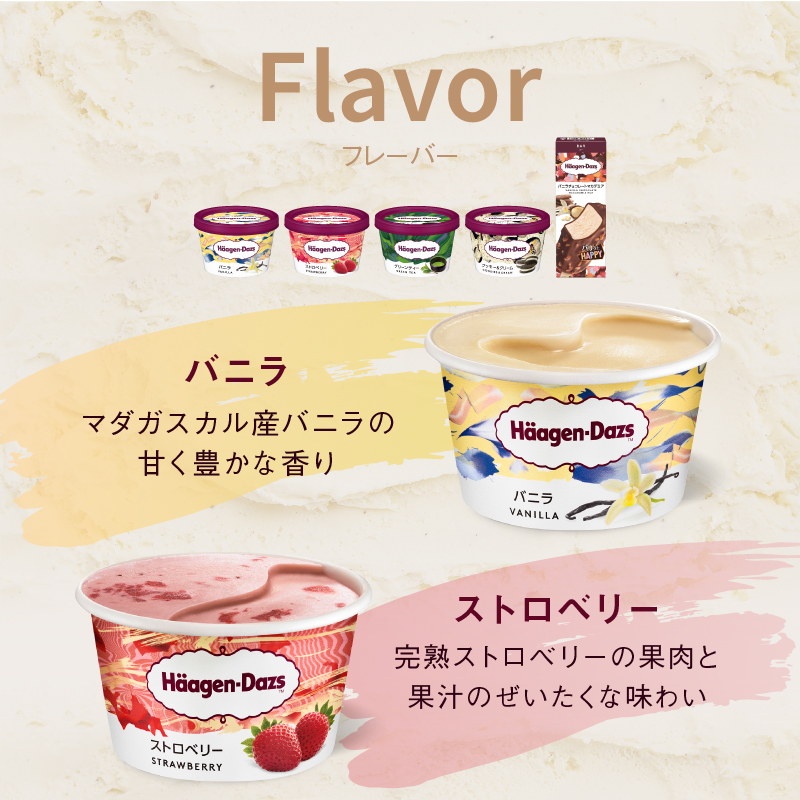 ＜全3回定期便・隔月＞ハーゲンダッツ『ミニカップ＆バーセット(合計21個)』アイスクリーム アイス スイーツ デザート_H0026-050