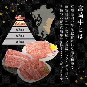 宮崎牛 ウデ スライス 400g 宮崎県産和牛小間切れ 100g 計500g　N0147‐A3323