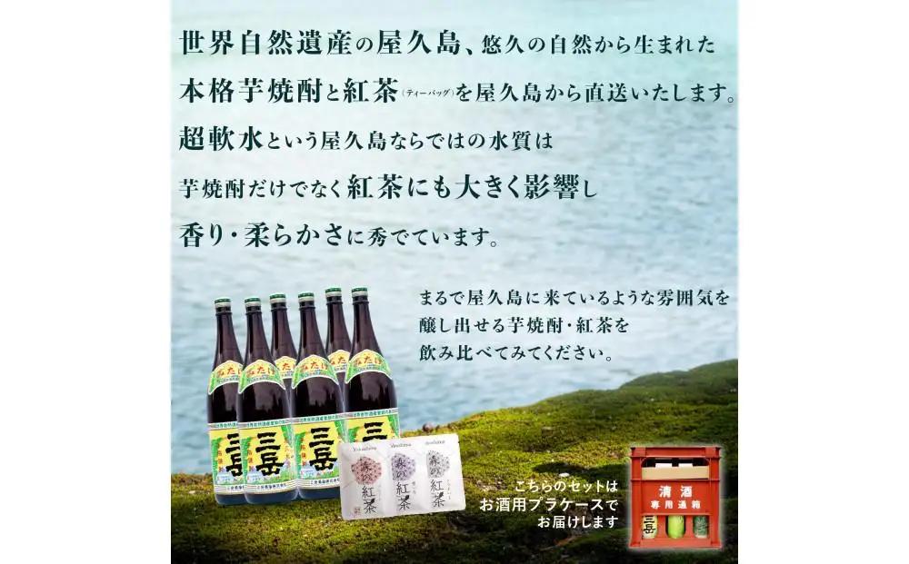 焼酎一升瓶 三岳6本+紅茶セット｜焼酎 紅茶
