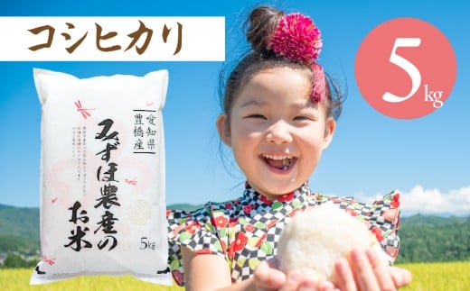 こしひかり 5kg コシヒカリ お米 おこめ コメ 米 こめ kome 5キロ ふるさと納税米 産地直送 送料無料 愛知県 豊橋市