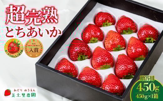 いちご「茂木完熟いちご」第１回いちご選手権金賞  とちあいか ギフト 450g×1箱【2月以降発送】 | いちご イチゴ 苺 とちあいか １回いちご選手権金賞  ブランドいちご ストロベリー 完熟 甘い あまい 果物 フルーツ くだもの  旬 産地直送 栃木県産 贈答 ギフト プレゼント 美土里農園 栃木県 茂木町
