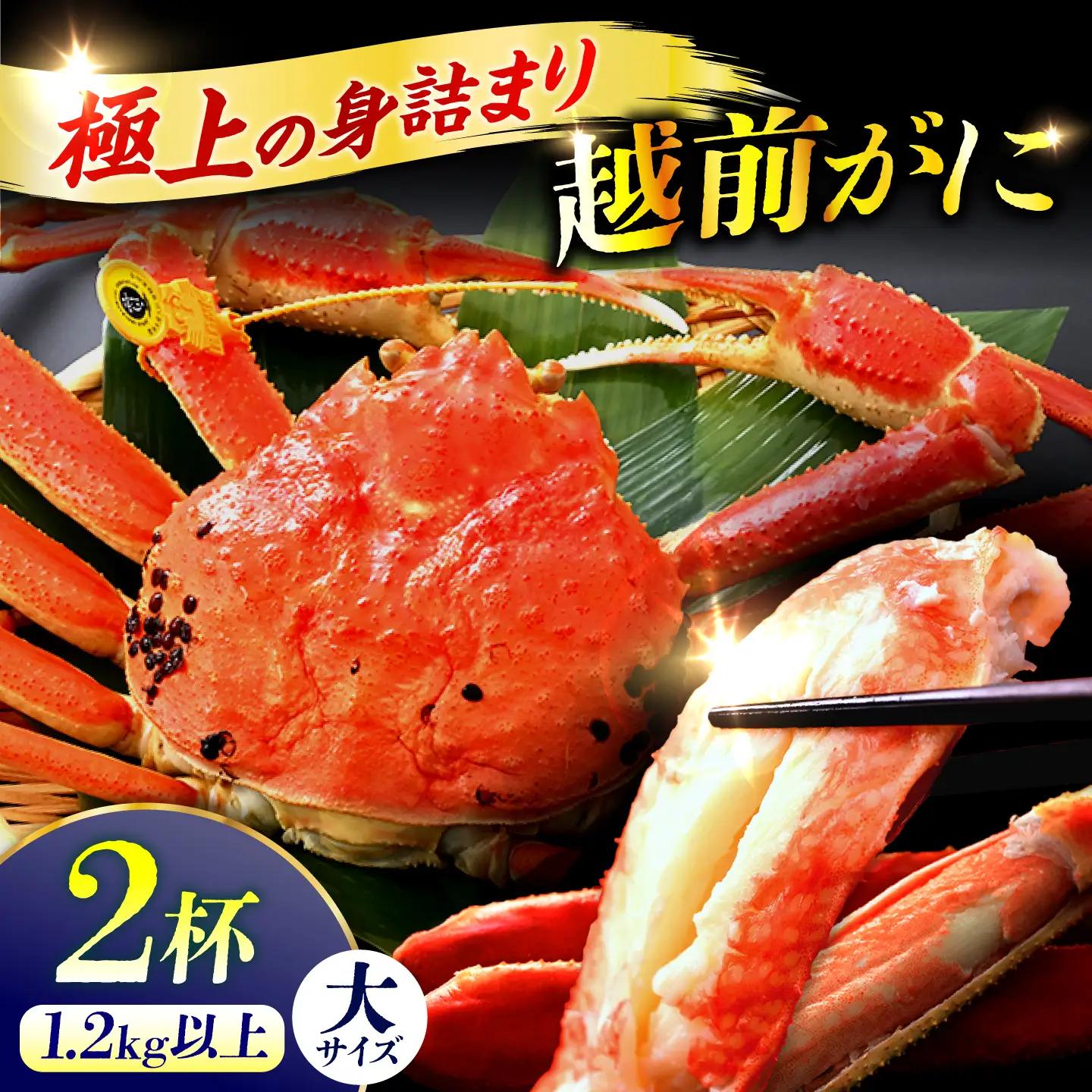 【先行予約/11月7日より順次発送予定】【冷蔵】「若狭小浜港産地直送」 越前がに (ズワイガニ) ボイル 大 2杯[BFBC021]【配送不可地域：北海道・沖縄・離島】