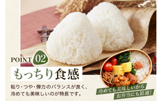 【6回定期便】【ふるさと納税】ひのひかり 米 お米  玄米  20kg 20キロ 福岡県産 うきは市 国産 精米 ご飯 ごはん おにぎり お弁当 人気 おすすめ 家庭用 送料無料 令和7年度産 ストッ