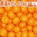 【ふるさと納税】谷内青果 早生みかん 訳あり 10kg