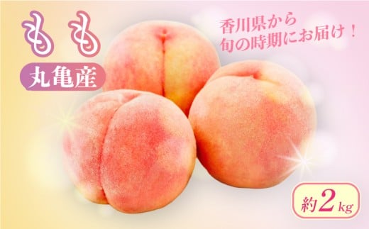 【先行予約】 桃 約2kg 5-9玉入 化粧箱 贈答 フルーツ 果物 果実 モモ プレゼント ギフト スイーツ デザート ケーキ ジュース ゼリー アイス シャーベット ジャム ふるさと納税桃 ふるさと納税モモ お取り寄せ 送料無料 ふるさと納税 ふるさと納税フルーツ 香川県 丸亀市