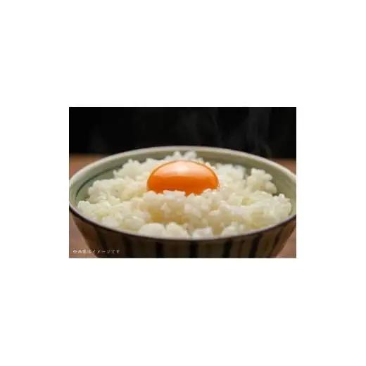 匝瑳の“さくら色”たまご　Lサイズ　贈答用120個 ／ 卵 タマゴ 玉子 たまご さくら色たまご 新鮮 千葉県 匝瑳市 送料無料 120個