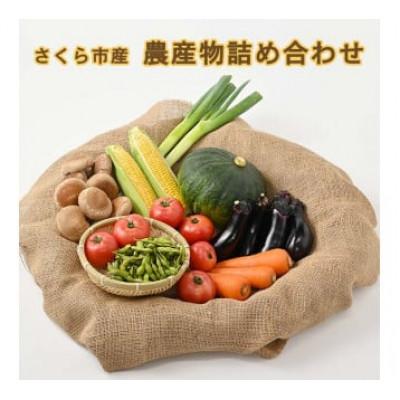 ふるさと納税 さくら市 さくら市産の農産物詰め合わせ