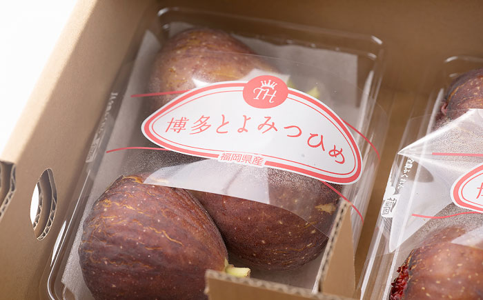 【先行予約】福岡産ブランド 無花果 とよみつひめ 約300g×4パック【2026年8月上旬～順次発送】《豊前市》【南国フルーツ株式会社】＜北海道・沖縄・離島配送不可＞いちじく フルーツ 季節 果物 [