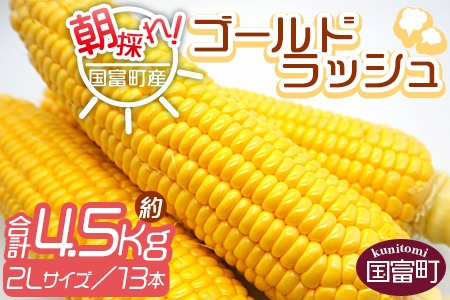 予約受付！＜朝採れ！国富町産ゴールドラッシュ4.5Kg2Lサイズ13本＞2025年5月下旬〜7月上旬迄に順次出荷【 とうもろこし スイートコーン 先行予約 野菜 穀物 甘い トウモロコシ 季節物 数量限定 とうきび コーン 】【a0578_sn】