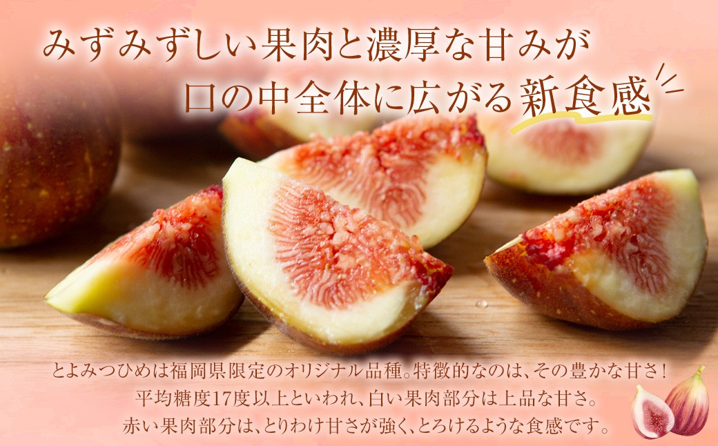 【先行予約】柿屋うちやま いちじく とよみつひめ 12個入り 