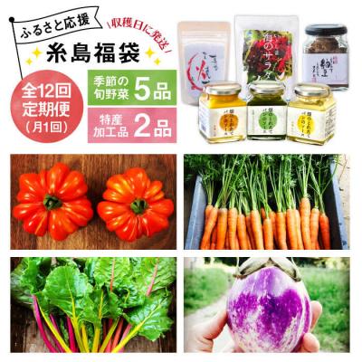 ふるさと納税 糸島市 【全12回定期便】朝採りオーガニック旬野菜5品+糸島産 大ヒット特産加工品2品セット[AGE032]