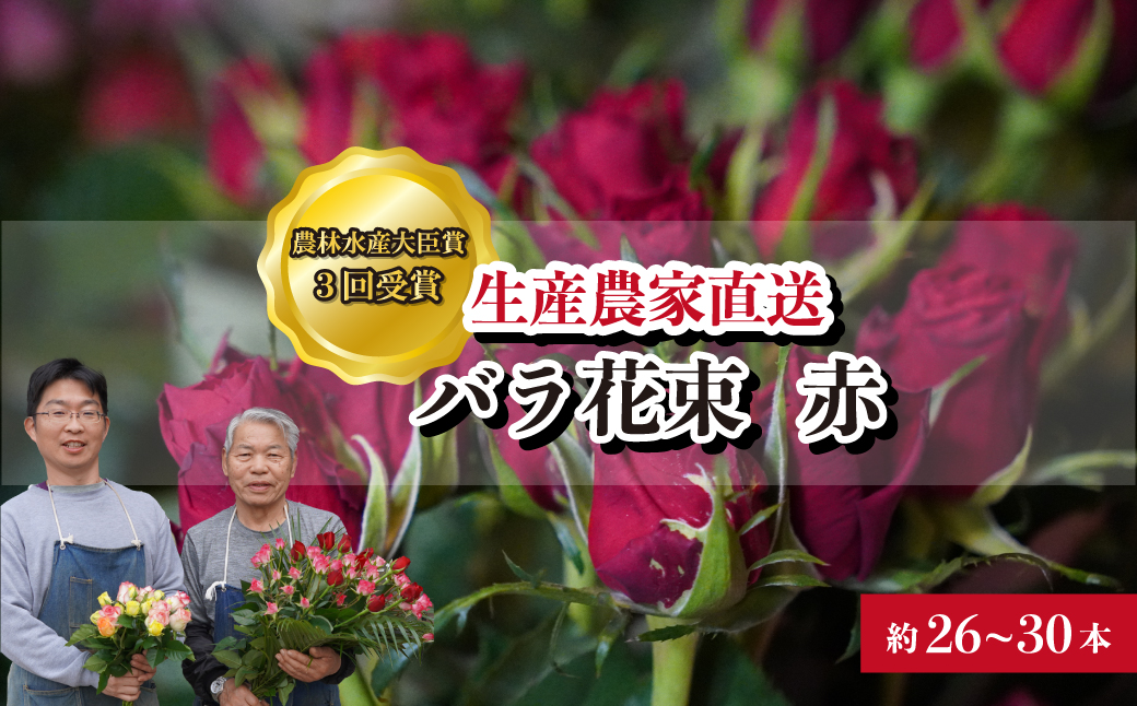 ＜配送エリア限定・着日指定必須＞ 生産農家直送 バラ花束 新鮮 赤 約26〜30本 | 埼玉県 上尾市 バラ 薔薇 ローズ 花束 植物 インテリア 誕生日 記念日 お祝い 母の日 父の日 ラッピング有り リボン付き 多品種 Mix花束 切り花 農林水産大臣賞 生花 プレゼント ギフト