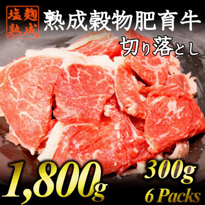 
牛肉 切り落とし こま切れ 300g × 6パック 1.8kg 小分け 個包装 簡単 調理 塩麹 塩こうじ 昆布 エキス 等 調味 下味 アウトドア キャンプ 赤身 熟成 穀物 肥育 牛 肉 冷凍 スライス 切落し 細切れ 小間切れ 不揃い 京都 神戸 ミート フーズ 人気 おすすめ ふるさと納税
