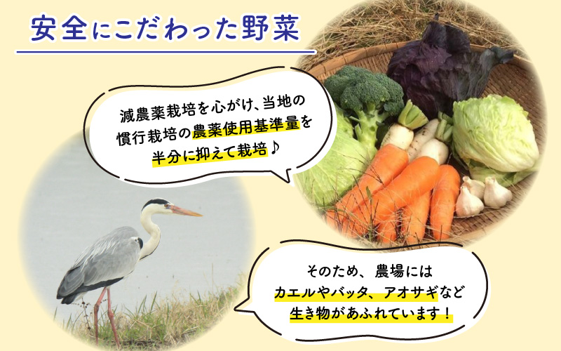福井県鯖江市産　黒にんにく60ｇ　3パック