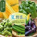 【ふるさと納税】【令和7年産 先行予約】夏野菜 セット トウモロコシ ピーマン 長茄子 キュウリ 枝豆【8月上旬～下旬頃お届け】2025年産 旬の野菜 夏 BBQ野菜 夏の味覚 おつまみ 食べ比べ 詰め合わせ 贈答 ギフト 山形県 米沢市 夏 旬