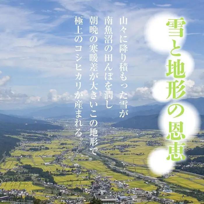 【定期便】無洗米  新潟県 南魚沼産 コシヒカリ お米 30kg×計6回 精米済み 半年間 毎月発送 こしひかり（お米の美味しい炊き方ガイド付き）｜主食