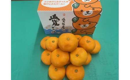 数量限定！ 温州みかん「ひめのか」を開発した愛媛県果樹研究センターが栽培！ 温州みかん（愛媛県オリジナル品種 ひめのか） 2kg 1箱  果物 くだもの フルーツ 柑橘 かんきつ 【2026年1月上旬～1月下旬発送予定】（347）