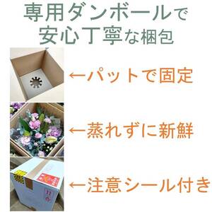 【定期便 / 毎月2回 計24回 お届け】季節のフラワーアレンジメント プレミアム 定期便 岩手県 北上市 W0043  （ パルテール )  花 観賞用 アレンジ プレゼント ギフト 誕生日 お祝い