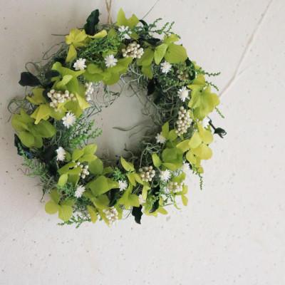 ふるさと納税 上富良野町 富良野花七曜 フェアリーミニリース ホワイト 直径約16〜19cm プリザーブドフラワー |  | 03