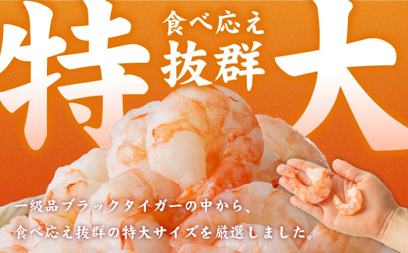 特大ブラックタイガー 500g【むきえび お試し 簡単調理 背ワタなし 訳あり サイズ不揃い 冷凍 時短 エビ 海鮮】