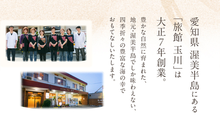 愛知渥美半島 伊良湖温泉 魚と貝のうまい宿 玉川 利用券 1万円分 旅館 旅行券 宿泊券 観光 愛知県 田原市