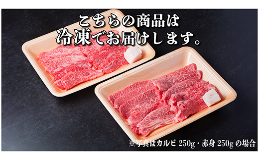 飛騨牛 カルビ・赤身(焼肉用)600g(各300g)【配送不可地域：離島】