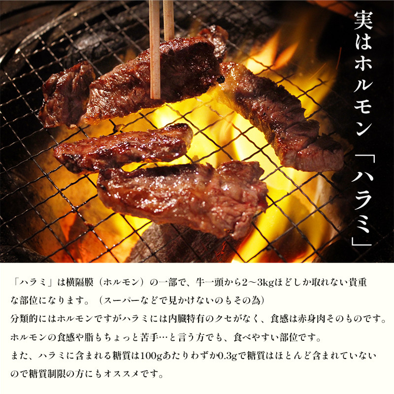 牛ハラミ 特製 タレ漬け 3kg 牛肉 牛 ハラミ 肉 味付 焼肉 焼き肉 冷凍 小分け 真空パック 簡単 調理 料理 カット 大人数用 熨斗 贈答 熨斗 御歳暮 お歳暮 ギフト