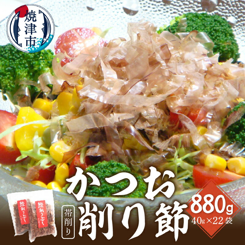 【ふるさと納税】 鰹節 削り節 帯削り 焼津産 40g入×22袋 加工品 だし a19-033