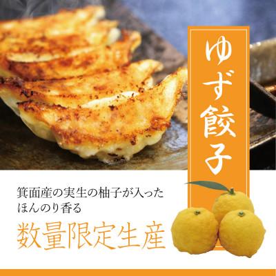 ふるさと納税 箕面市 餃子の惑星の餃子満腹セット【オリジナル72個、しそ18個、ゆず18個】(ほど辛たれ付) |  | 02