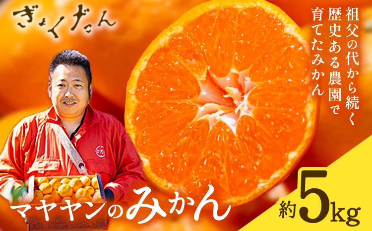 
                  ぎょくだんマヤヤンのみかん 約5kg ぷらっとぎょくとう 《11月中旬-12月中旬頃出荷》熊本県 玉東町 フルーツ 果物 秋 旬 みかん ミカン オレンジ 柑橘 熊本県産 秋 旬 フルーツ みかん
                