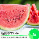 【ふるさと納税】選べる 大玉すいか 大石田町 新山寺すいか 2L・3L・4L・5L×1玉入り 2025年産 令和7年産 送料無料 スイカ yd-suoxx
