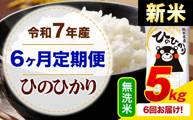 
            【6ヶ月定期便】新米 令和7年産 無洗米 ひのひかり 定期便 5kg《1月から出荷開始》熊本県産 ふるさと納税 精米 ひの 米 こめ ふるさとのうぜい ヒノヒカリ コメ お米
          