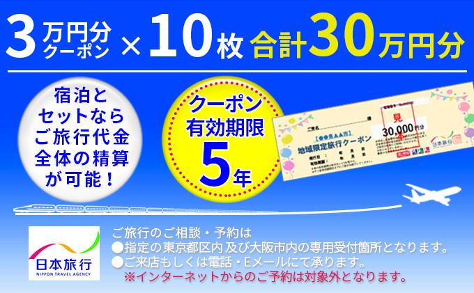 
[№5315-0843]日本旅行　地域限定旅行クーポン【300,000円分】
