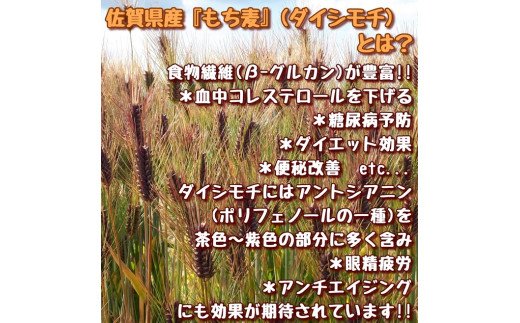CI007　【限定入荷】みやき町産『もち麦』４kg(１kg×４袋)