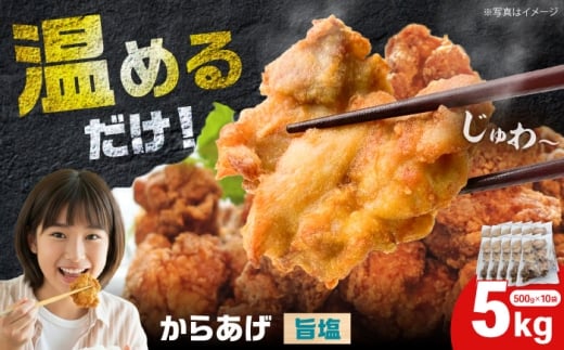 からあげ 旨塩味　5kg（単品）【から太郎】 [BDBC004-3]