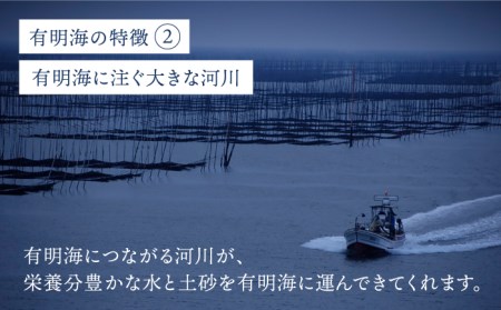 佐賀海苔 味海苔 250枚 海苔 [FBC021]