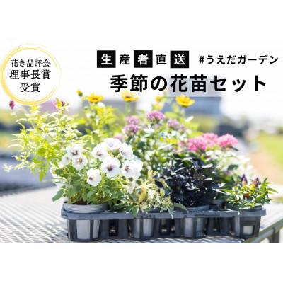ふるさと納税 稲美町 【生産者直送】季節の花苗おまかせセット　5種類以上10ポット以上