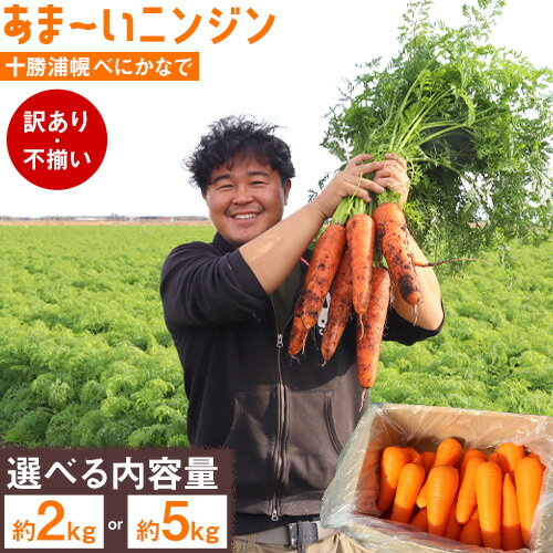 【ふるさと納税】甘～いニンジン 十勝 浦幌べにかなで 【訳あり・不揃い】 約2kg 10～20本 or 約5kg 40～50本 農事組合法人レギューム《12月上旬から5月上旬頃出荷》北海道 浦幌町 人参 にんじん 安心 安全 野菜 お野菜 やさい 紅奏 シャキシャキ 甘い