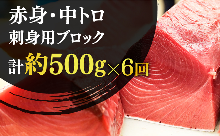 【全6回定期便】【ながさき水産業大賞受賞の新鮮なマグロを冷蔵でお届け！！】五島列島産 養殖 生本かみまぐろ 赤身 中トロ 計約500g【カミティバリュー】 [RBP030]