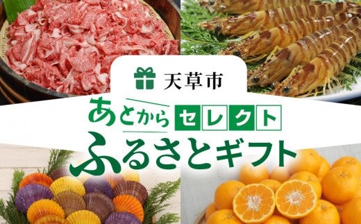 
S999-040_あとからセレクト【ふるさとギフト】４０万円

