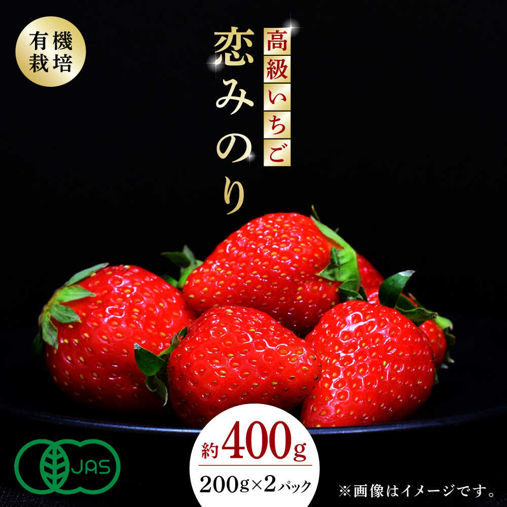 【ふるさと納税】高級 いちご 恋みのり 約400g（200g×2pc） 【伊藤農園】[ZBB001] イチゴ 旬 有機栽培 2パック 評判 レビュー 完熟 高級いちご フレッシュ 山鹿 人気 季節 産地 新鮮 特産 特産品 ブランド お取り寄せ おすすめ 熊本県
