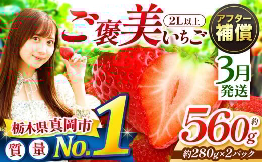 【3月発送】一粒の贅沢！ ご褒美とちあいか 2L以上 約560g 280g×2 いちご | 3月 おいしい 取り寄せ プレゼント | 生産量 日本一 果物 フルーツ 苺 イチゴ 25/26年分 シーズン 先行受付 栃木県 真岡市 送料無料
