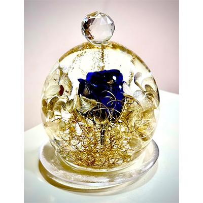 ふるさと納税 田原本町 クリスタルドーム「奇跡・青い薔薇」
