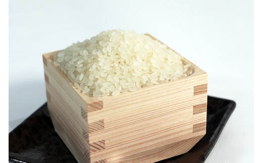 ≪令和7年産≫【12か月定期便】岐阜ミルキークイーン5kg