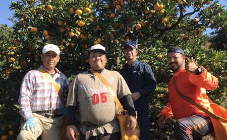 先行予約 不知火 温室ハウス栽培 プレミアム完熟不知火 約5kg 髙橋果樹園 【2026年12月上旬から2027年1月下旬発送予定】