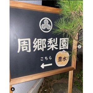 2025年発送先行受付 周郷梨園のやちよ100年梨(10kg)【1493889】