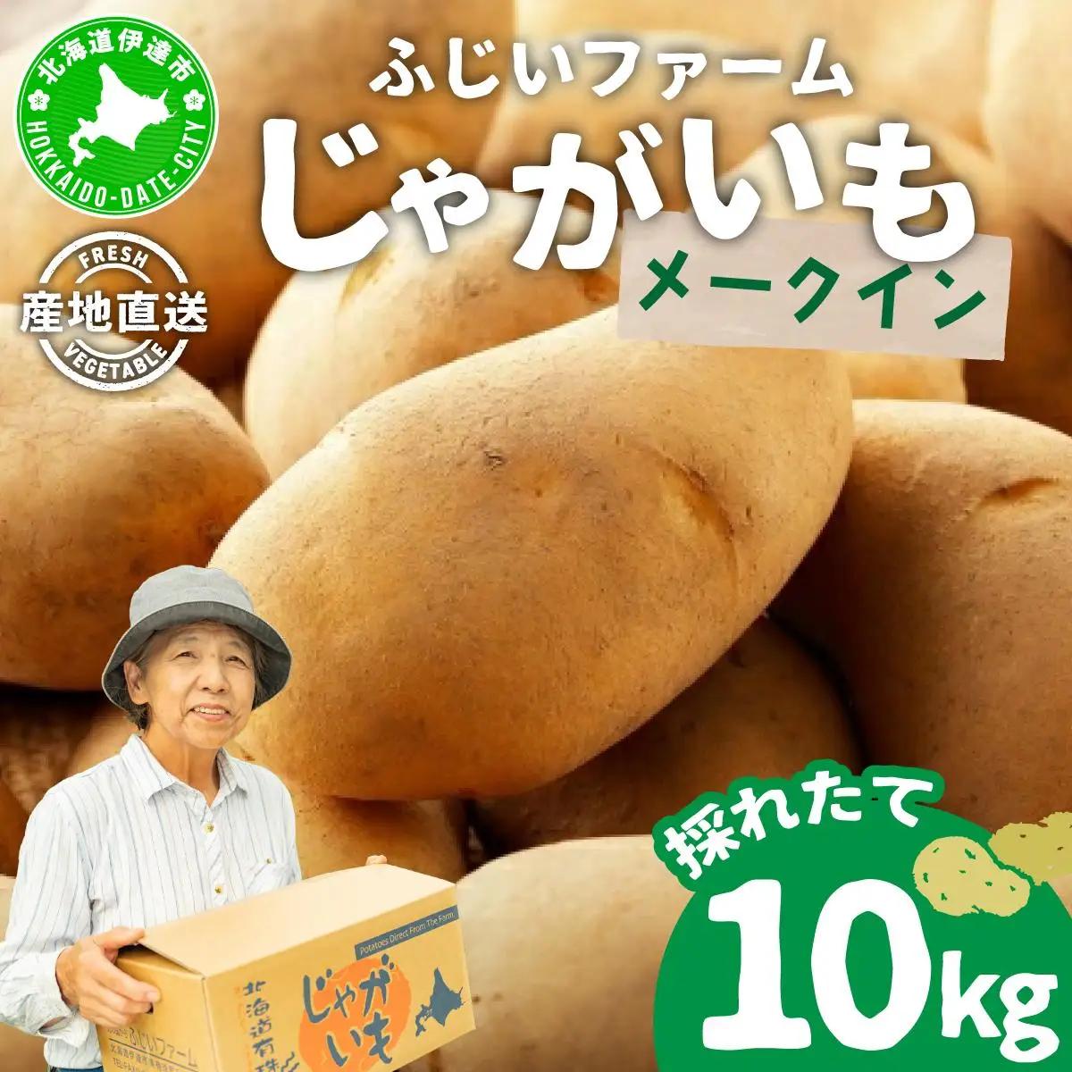 ＜先行予約＞北海道産 じゃがいも(メークイン) 約10kg【hjf-005】
