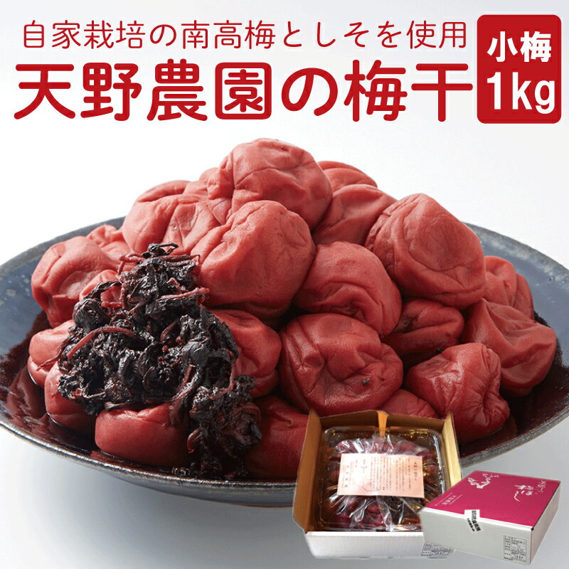 【ふるさと納税】 梅干し 昔ながらのすっぱい梅干し 小粒 1kg 南高梅 梅 うめ 果物 フルーツ しそ 塩 おつまみ 弁当 惣菜 漬物 ビール ハイボール 焼酎 果実酒 ギフト プレゼント 贈答 送料無料 先行予約 2025年10月中旬 から 順次出荷 美郷 徳島県 吉野川市 天野農園