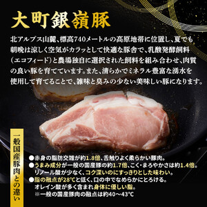 大町銀嶺豚 ロース１kg (約100ｇ×5枚・2パック) | 豚ロース ブランド 肉 