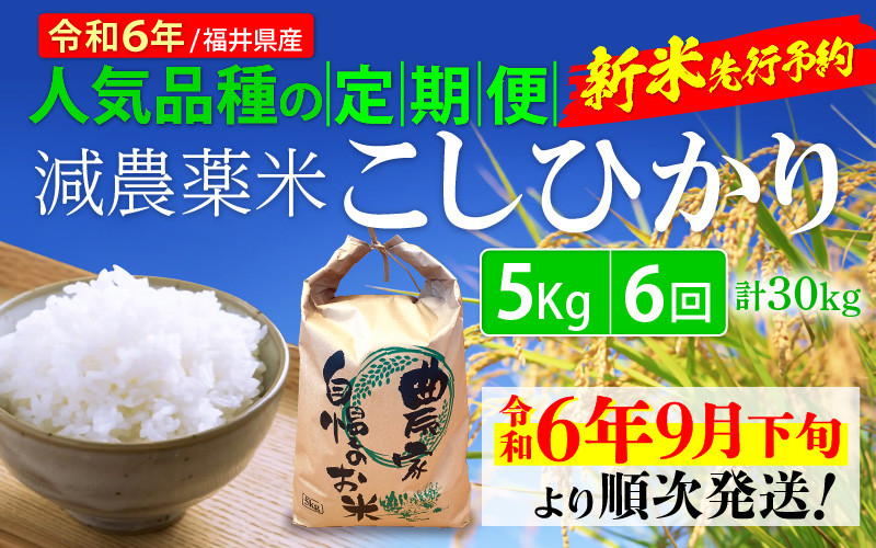 
【令和6年産新米・先行予約】定期便 ≪6ヶ月連続お届け≫ 減農薬米こしひかり 5kg × 6回（計30kg） 令和6年 福井県産 人気品種の定期便！【玄米 対応可】【令和6年9月下旬より順次発送】 [e35-c004]
